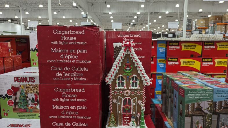 25-in-Gingerbread-House-1601266