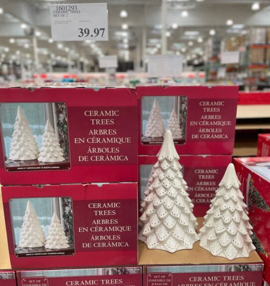 Ceramic Trees Set of 2