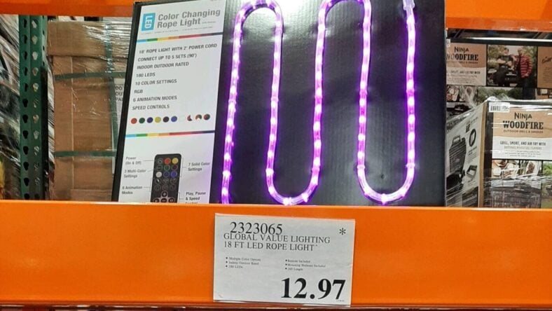 18ft-LED-Color-Changing-Rope-Light-Set-2323065-OwingsMills-MD