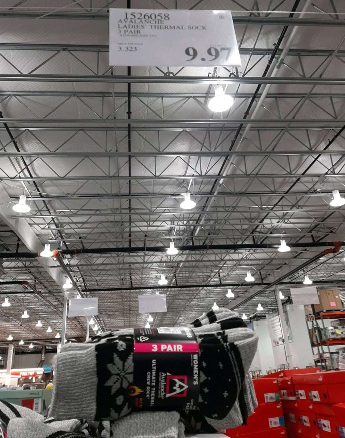 Avalanche Ladies Ultimate Thermal Sock