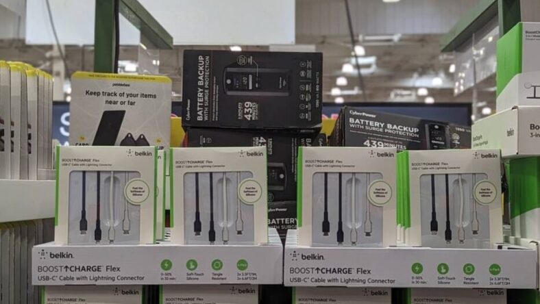 Belkin-Boost-Charge-USB-C-to-Lightning-Silicone-CBLE-1641751-Livermore, CA