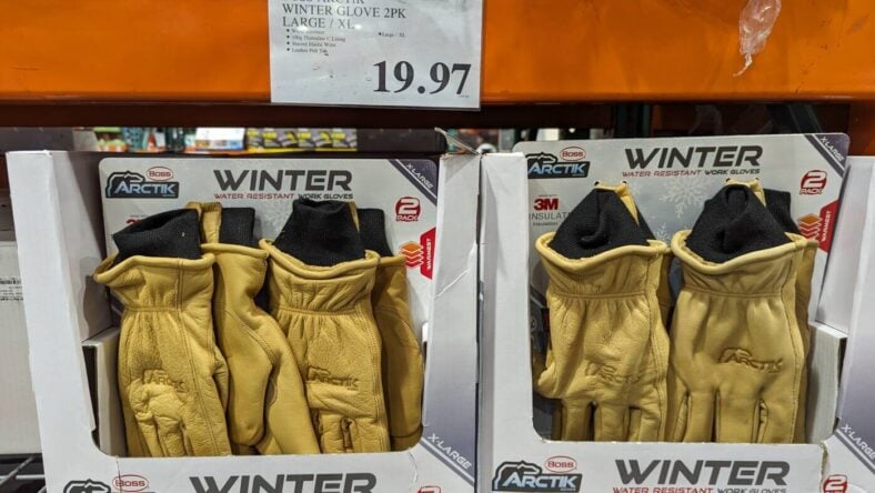 Boss-Arctik-Winter-Glove-2pk-1726940-San Francisco, CA