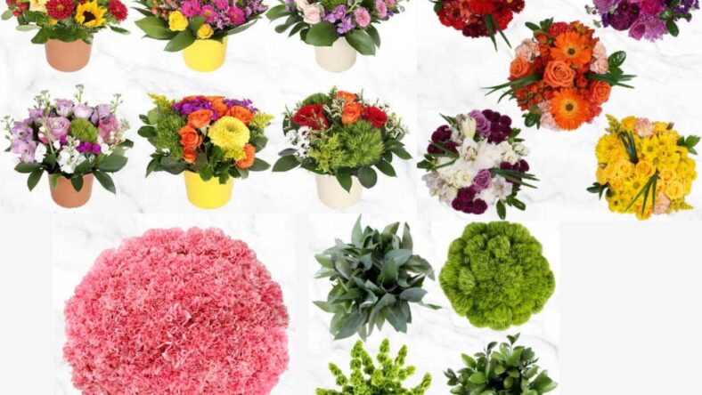 Costco Flowers, Credit Costco