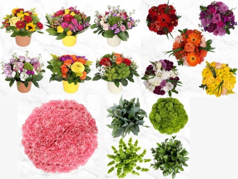 Costco Flowers, Credit Costco