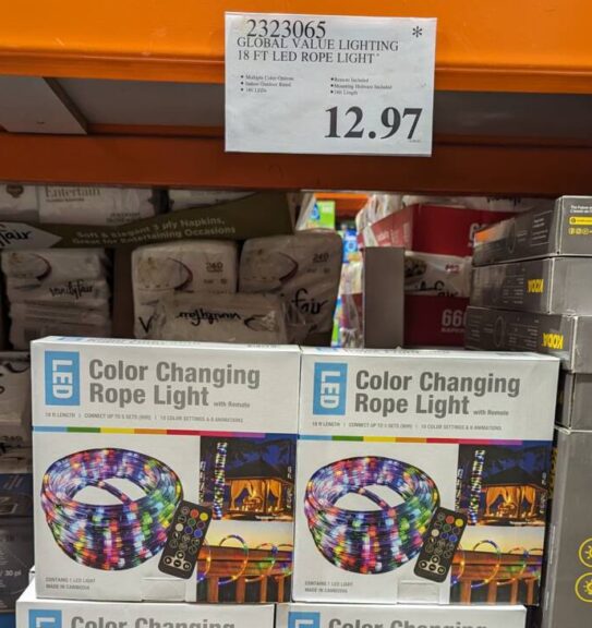 18ft LED Color Changing Rope Light