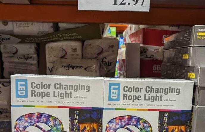 Global-Value-Lighting-18ft-LED-Rope-Light-2323065-Danville-CA