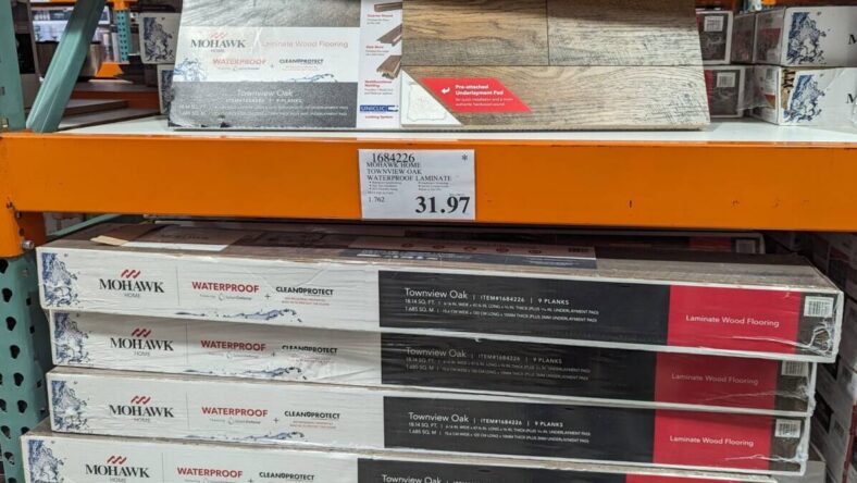 Mohawk-Home-Townview-Oak-Waterproof-Laminate-1684226-San Francisco, CA
