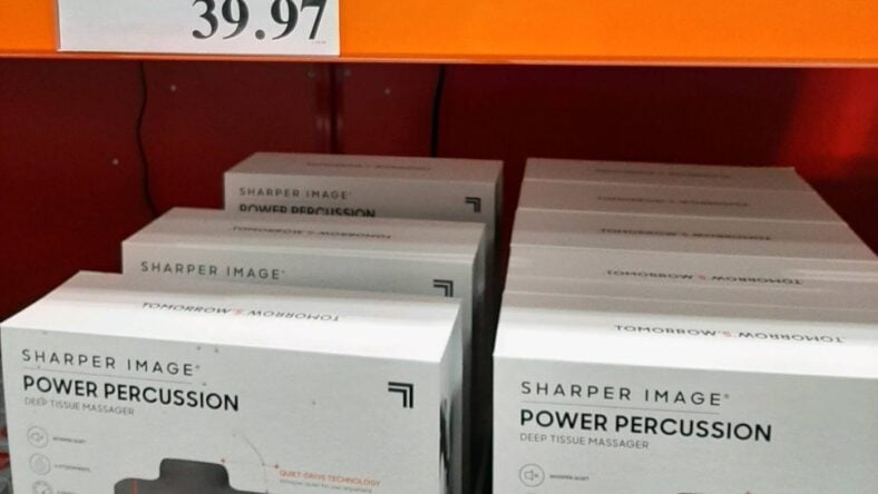 Sharper-Image-Pro-Power-Percussion-Deep-Tissue-Massager-2437599-OwingsMills-MD