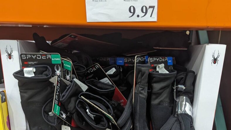 Spyder-Core-Conduct-Gloves-2623014-Livermore, CA