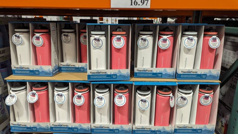 Thermoflask-Stainless-Steel-Bottle-1630866-San Francisco, CA