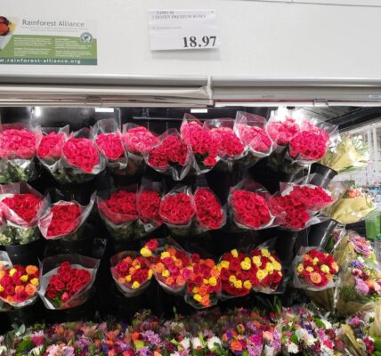2-Dozen-Premium-Roses-1109194-Sand City, CA