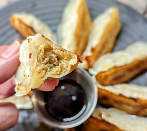 Anjinomoto-Gyoza-Dumpling-Costco