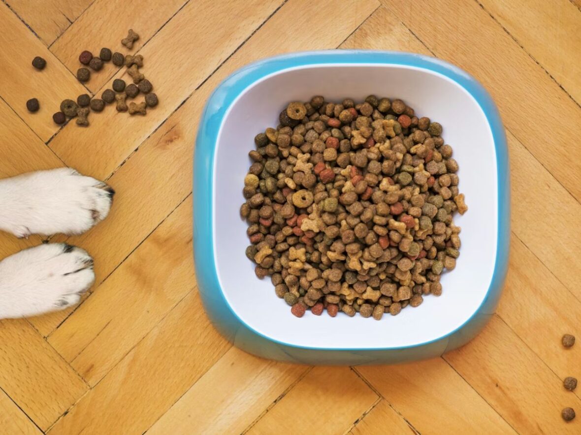 Best Costco Dog Food Unsplash