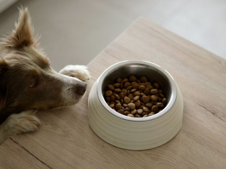 Kirkland Signature Quality Unsplash