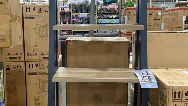 Bayside-Furnishings-Fynn-72-Ladder-Bookcase-1752627-Inglewood, CA