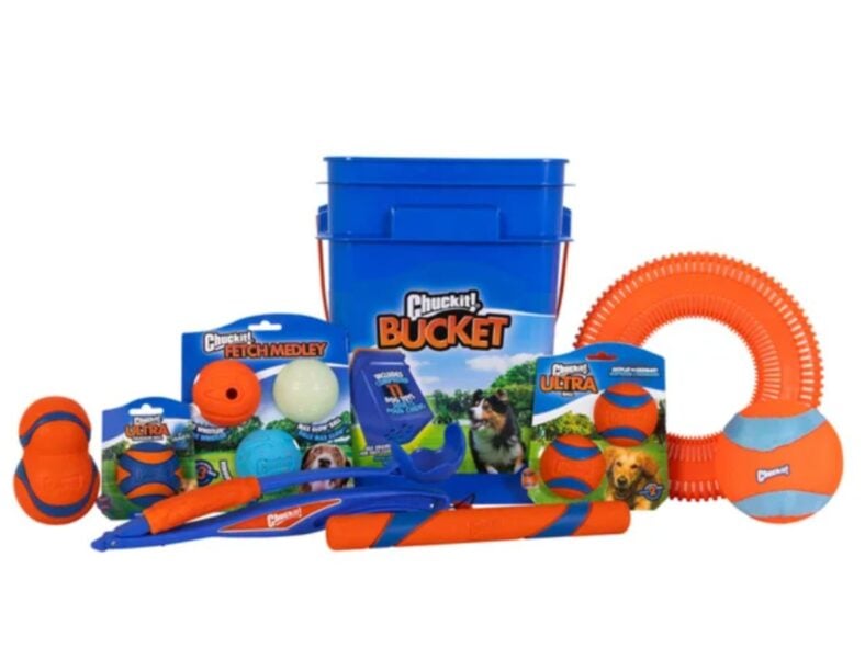ChuckIt Toys Costco