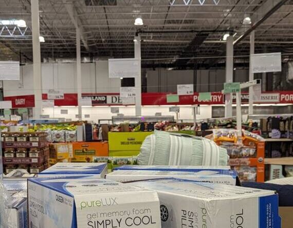 Purelux-Simply-Cool-Memory-Foam-Pillow-Queen-1299220-Lodi, CA