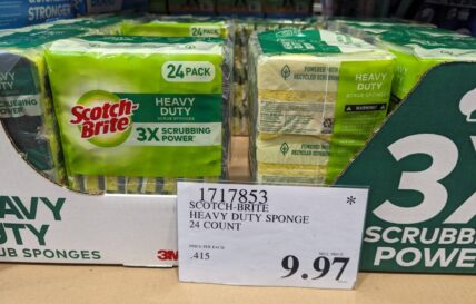 Scotch-Brite-Heavy-Duty-Sponge-24-CT-1717853-Lodi, CA