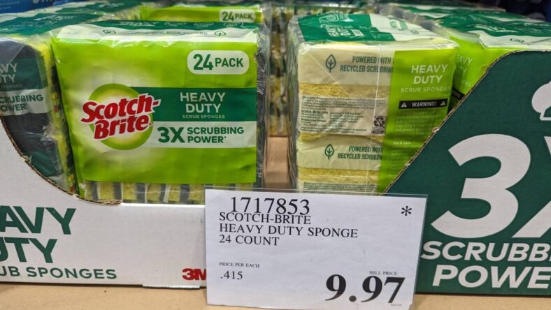 Scotch-Brite-Heavy-Duty-Sponge-24-CT-1717853-Lodi, CA