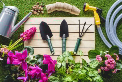 Top Costco Gardening Products, Deposit Photos