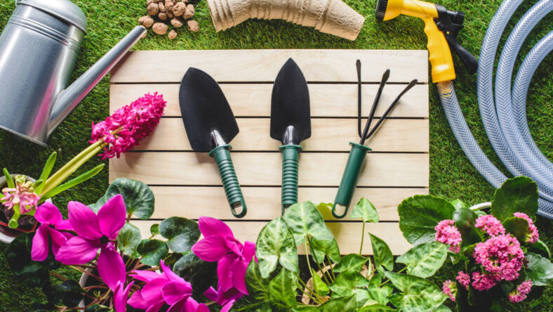 Top Costco Gardening Products, Deposit Photos