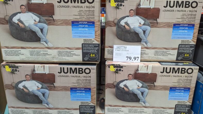 Lounge-and-Co-Jumbo-Lounger-1657750-Danville, CA