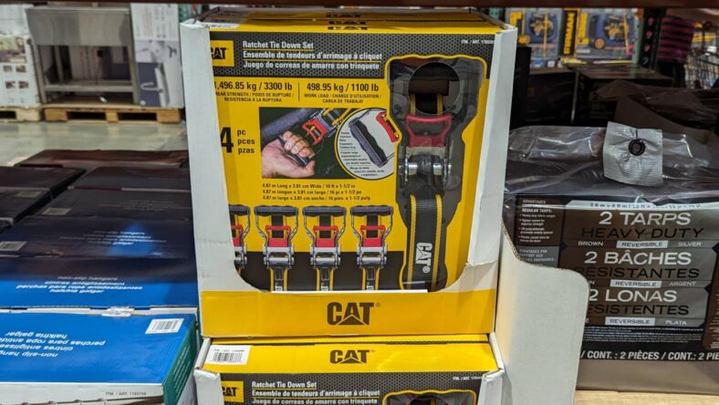 Cat-Ratchet-Tie-Downs-1705099-Livermore,CA
