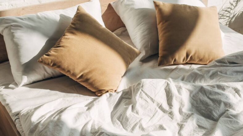 Change Best Costco Pillows, Deposit Photos