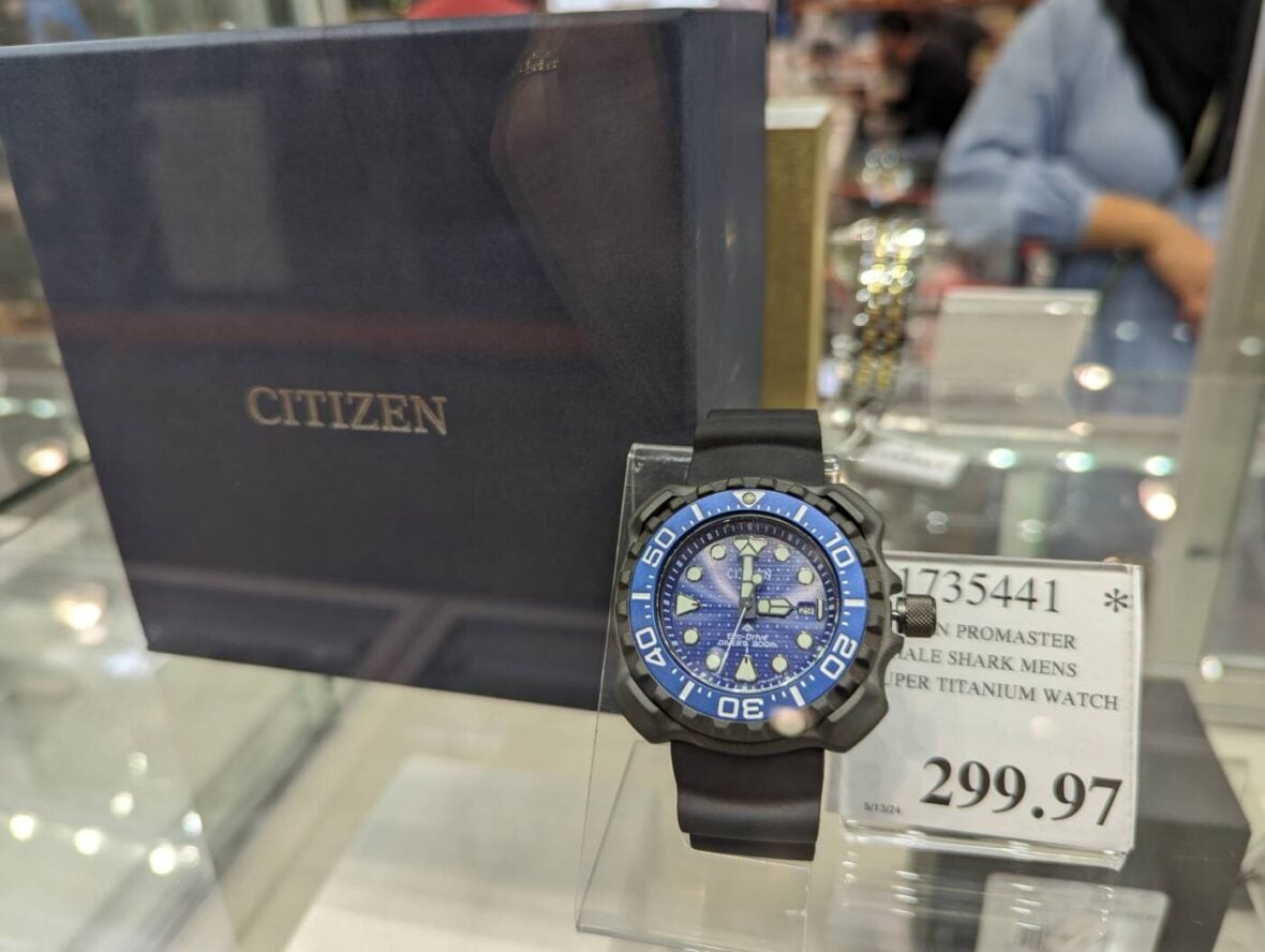 Citizen-Promaster-Whale-Shark-Men's-Super-Titanium-Watch-1735441-Livermore, CA