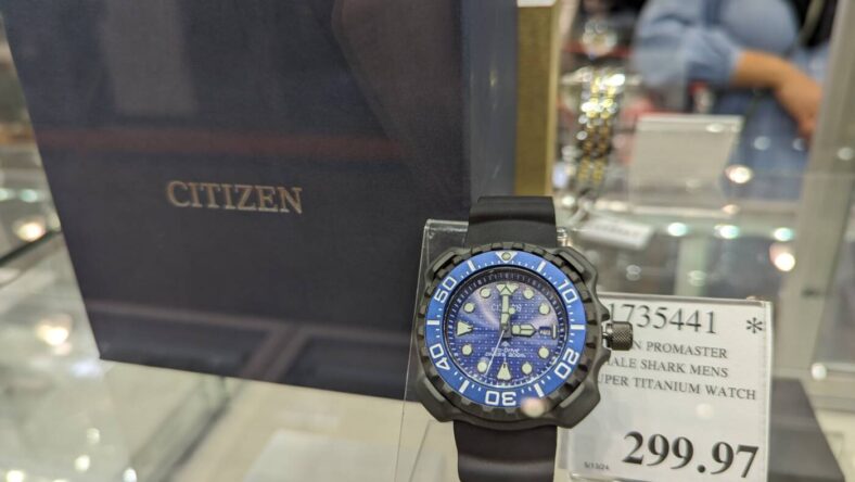 Citizen-Promaster-Whale-Shark-Men's-Super-Titanium-Watch-1735441-Livermore, CA