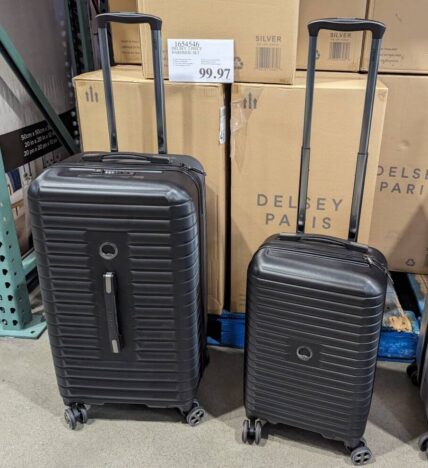 DELSEY-2pc-Hardside-Set-1654546-Danville-amd-Livermore