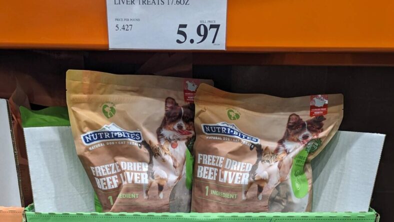 Nutri-Bites-Freeze-Dried-Beef-Liver-Treats-1525407-Hoover, AL