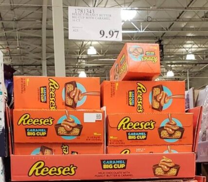 Reese-Peanut- Butter-Big-Cup-with-Caramel-16ct-1781343-Avondale, AZ