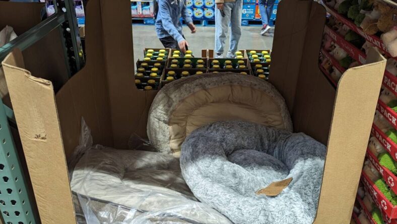Renue-Sloped-Donut-Pet-Bed-1746217-Livermore,CA