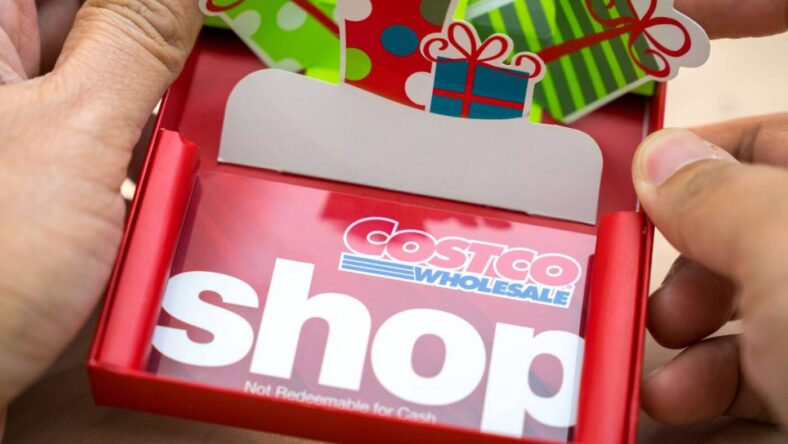 Costco Membership as a Gift, Deposit Photos