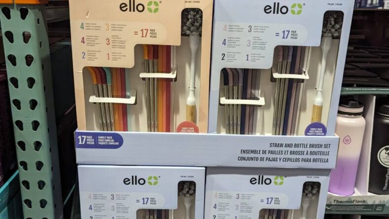 Ello-Straw-and-Brush-Set -17-pc-Danville, CA