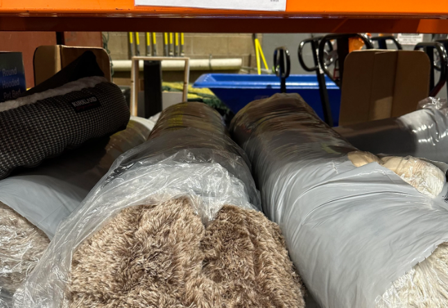 Renue-Sloped-Donut-35X34-Pet-Bed-1746217-Bloomfield Township, MI
