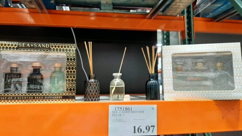 Sea+Sand-Diffuser-Set-of-3-1751861-Owings Mills, MD