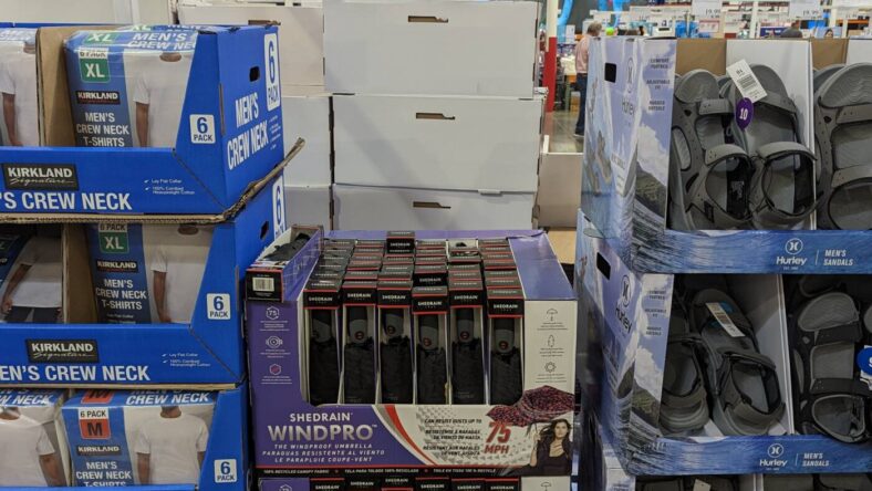 Shedrain-Windpro-Compact-Umbrella-46-1550207-Fairfield, CA