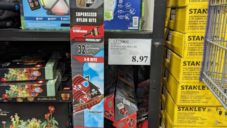 X-Kites-Supersized-Deluxe-Nylon-Kite-1375801-Danville, CA