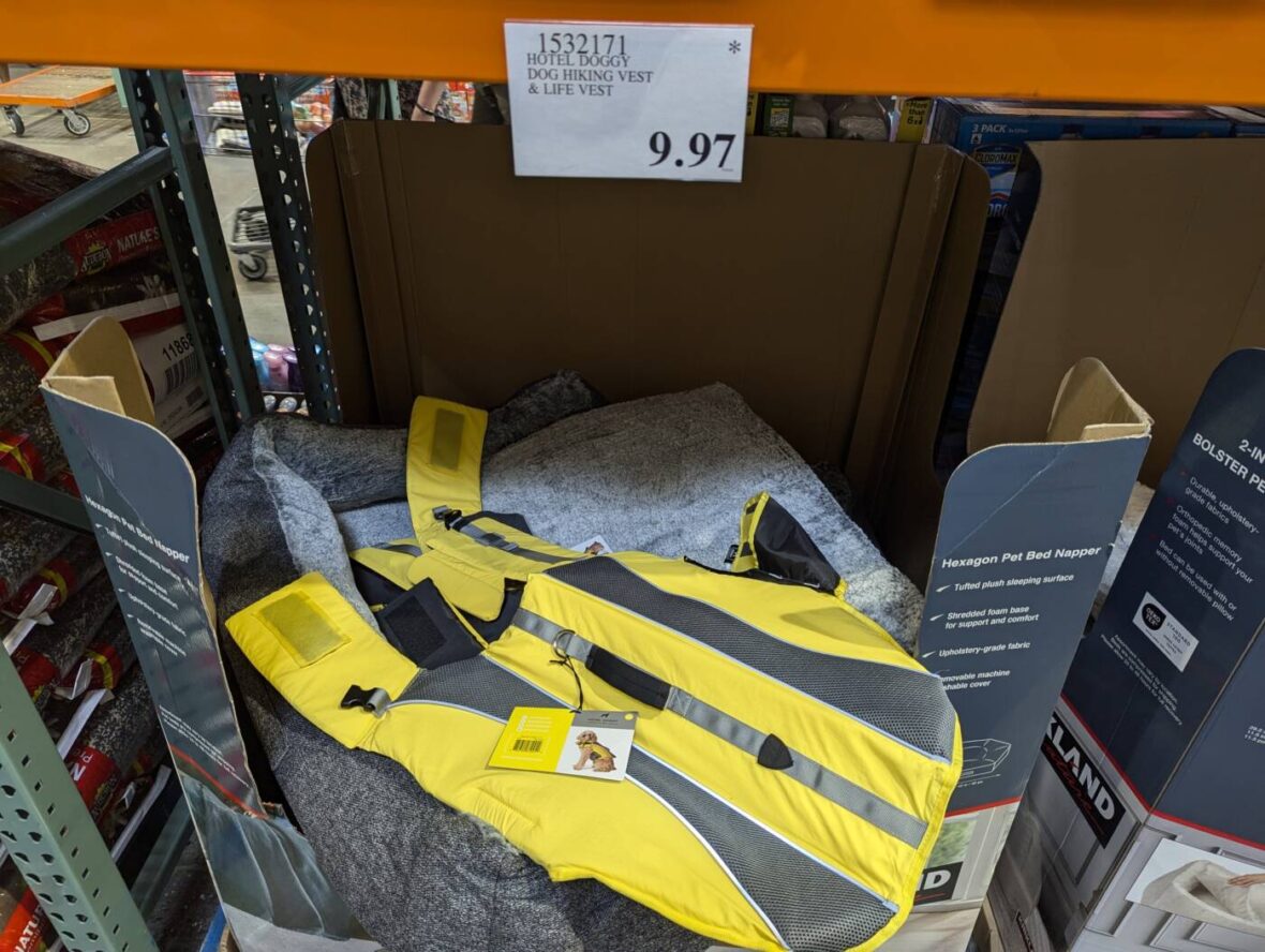 Hotel-Doggy-Dog-Hiking-Vest-and-Life-Vest-1532171-Livermore, CA-min