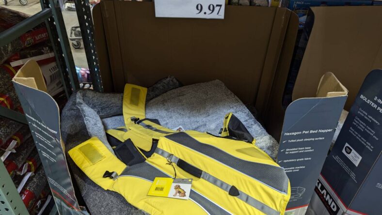 Hotel-Doggy-Dog-Hiking-Vest-and-Life-Vest-1532171-Livermore, CA-min
