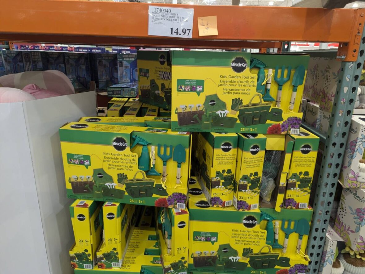 Miracle-GRO-Kid's-Gardening-Tool-Set-FlowerVegetables-Seeds-1740040-Concord, CA