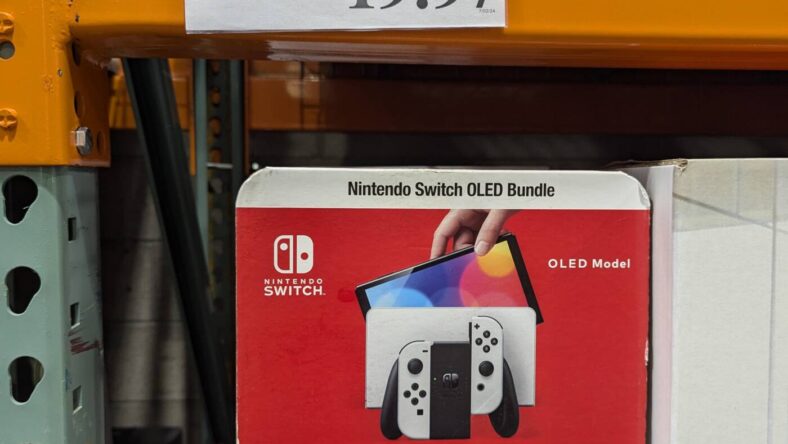 Nintendo-Switch-Princess-Peach-Showtime-1780550-Livermore, CA (2)