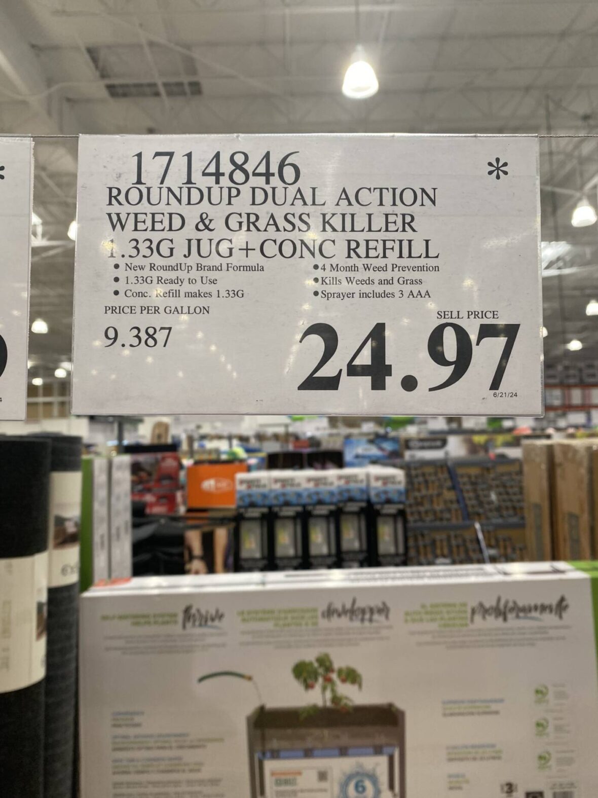 Roundup-Dual-Action-Weed-and-Grass-Killer-1.33G-Jug+Conc-Refill-1714846-San Diego, CA