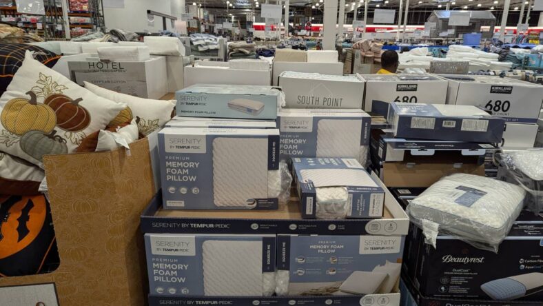 Serenity-by-Tempur-pedic-Memory-Foam-Pillow-1108569-Livermore, CA