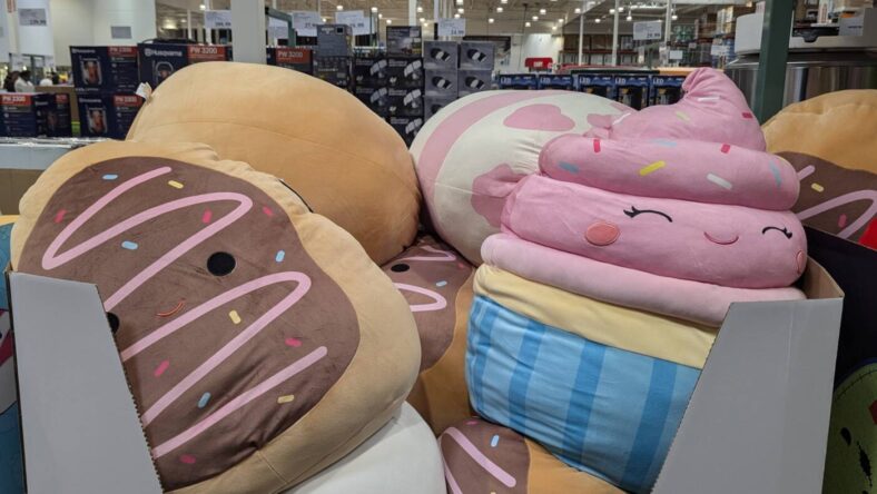 Squishmallows-24-Jumbo-Plush-Assortment-1601374-Danville, CA