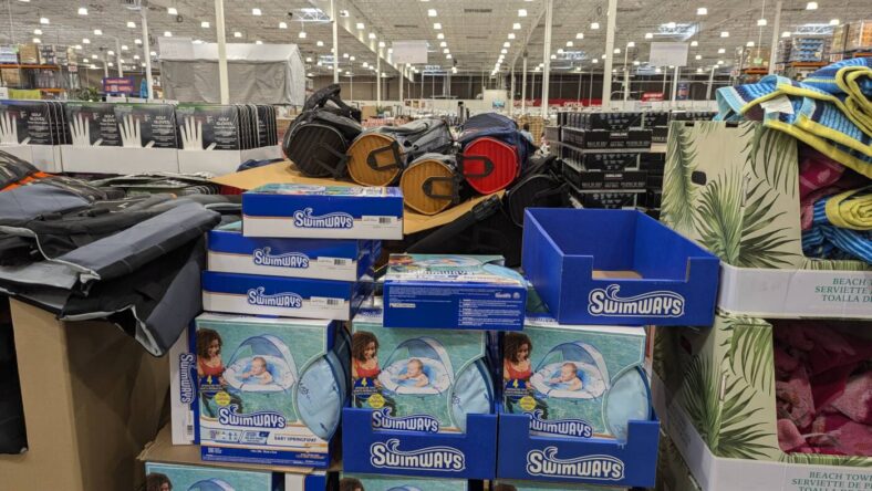 Swimways-Elite-Baby-Float-with-Canopy-1797330-Livermore, CA