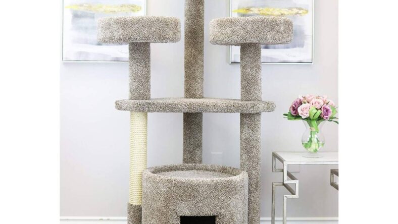 Costco Finds Every Swiftie Needs