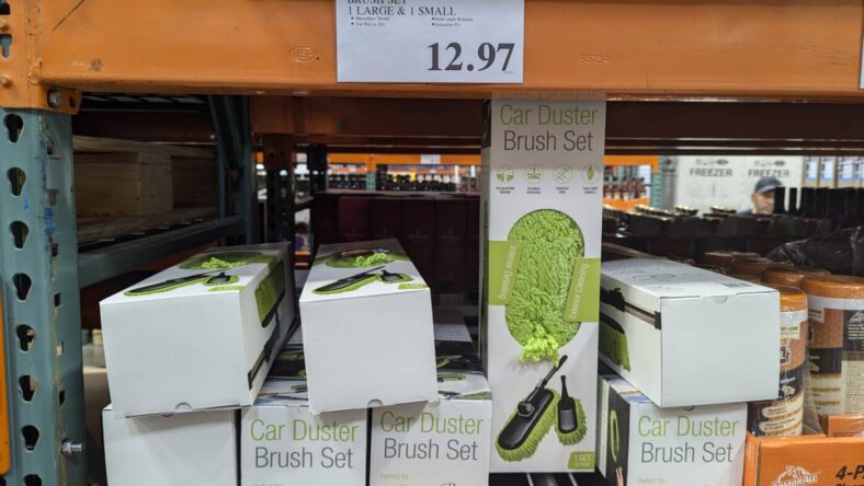 Car-Duster-Brush-Set-1-Large-and-1-Small-Tracy, CA